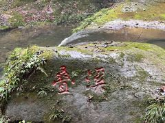 -碧峰峡风景区