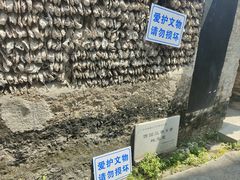 -小洲村