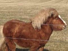 -徐家屯铁锅炖(宋家庄店)