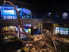 -自贡恐龙博物馆