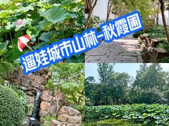 -秋霞圃