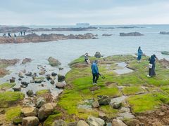 -青岛第二海水浴场