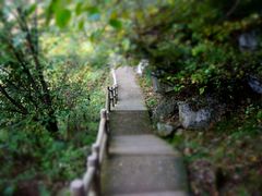 -太平万花山景区