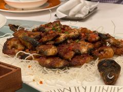 -老洋房花园饭店(绍兴路店)