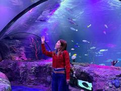 -沈阳海洋探索中心