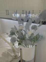 -缤卡妮肌肤管理中心