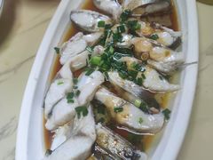 -张鸟园农家乐(张鸟园店)