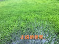 -丽江泸沽湖景区