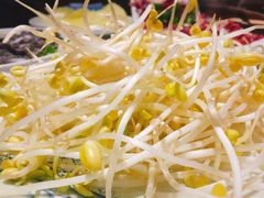 豆芽-贵府酸汤牛肉火锅·贵州老字号(飞山街店)