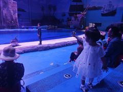 -华夏文旅海洋公园