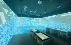 -恐龙探索乐园(磁器口店)