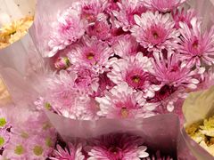 -循礼门鲜花花市(武汉循礼门店)