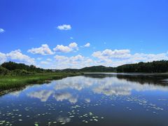 -塞罕坝国家级自然保护区