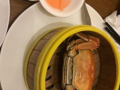 -凯菲厅海鲜姿造·海鲜自助·帝王蟹·龙虾(成都群光君悦酒店)