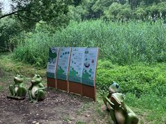 -同里国家湿地公园