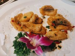 -潮汕壹号·潮汕菜·打边炉·生腌(总店)