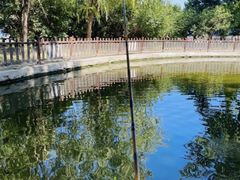 -酷鱼垂钓CLUB(朝阳区博大路店 )