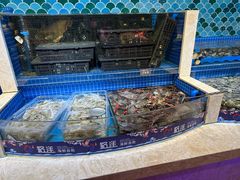 -乔哥铭洋海鲜自助(皇城恒隆广场店)