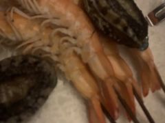 -生如夏花泰式火锅(西村黑金店)