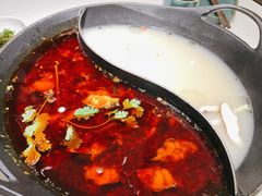 红汤梭边鱼锅-新辣道鱼火锅(上地华联店)