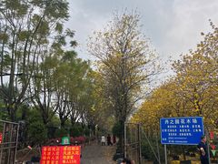-佛山市三水温泉度假村