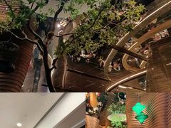 -桂小厨广西菜(万象城店)
