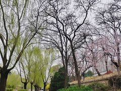 -元大都城垣遗址公园