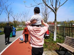 -上海长兴岛郊野公园