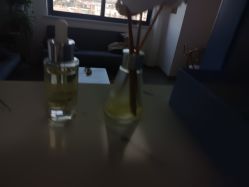 -凡碧诗毛孔收细