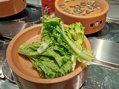 -龍歌自助小火锅(市南金茂湾店)