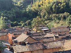-杨家堂村