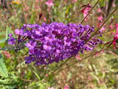 -快活林烧烤(红新路店)