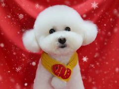 -小尾巴宠物店(万科·金域华庭店)