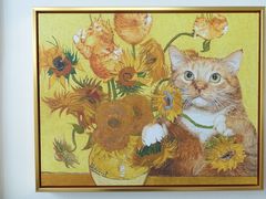 -Catmate·猫肥家润(金润铂宫店)