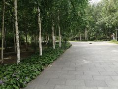 -群力丁香公园