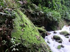 -赤水丹霞旅游区·佛光岩