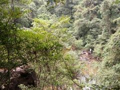 -九龙江国家森林公园