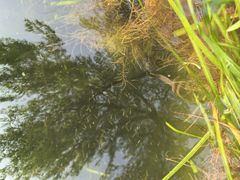 -共青国家森林公园-售票处