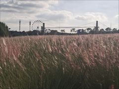 -花博汇(知音花月夜)