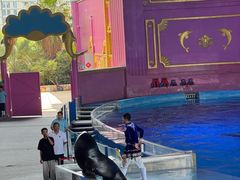 -横店影视城梦幻谷园区