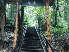 -天门沟九州驿站树上汤泉