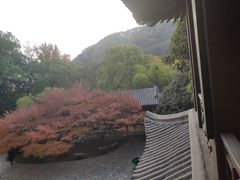 -团城山公园