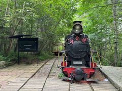 -五营红松林海景区