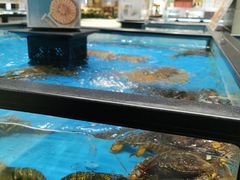 水产区-盒马鲜生(王府广场店)