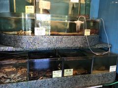 -香港东海海鲜酒家