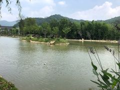 -长兴慧子土特产茶行