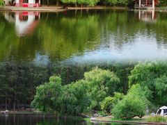 -上海共青森林公园