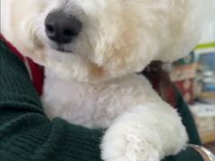 -瑞鹏宠物医院·宠保定点·心脏科·内科(御桥分院)