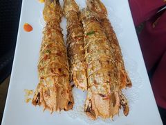 -欢乐海岸美食联盟