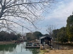 -梁鸿国家湿地公园